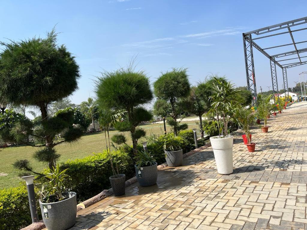 Hotel Eco Park Rewa Esterno foto