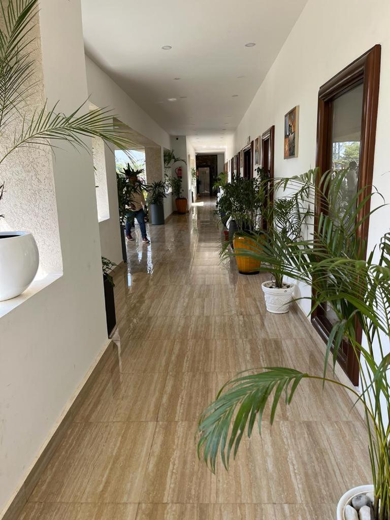 Hotel Eco Park Rewa Esterno foto